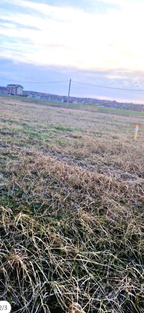 Teren intravilan Paleu cu PUZ si PUD aprobat - Poză 2