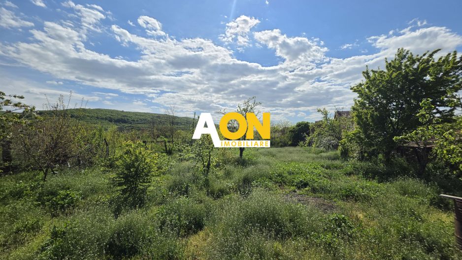 Casa 2 Camere, 1100mp Teren, Sat Totoi - Poză 4