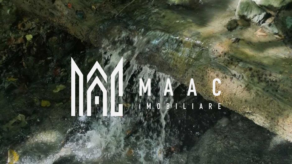 Teren Extravilan 20.000Mp I Stoenești -Vâlcea I Apă Curentă și Pădure - Poză 5