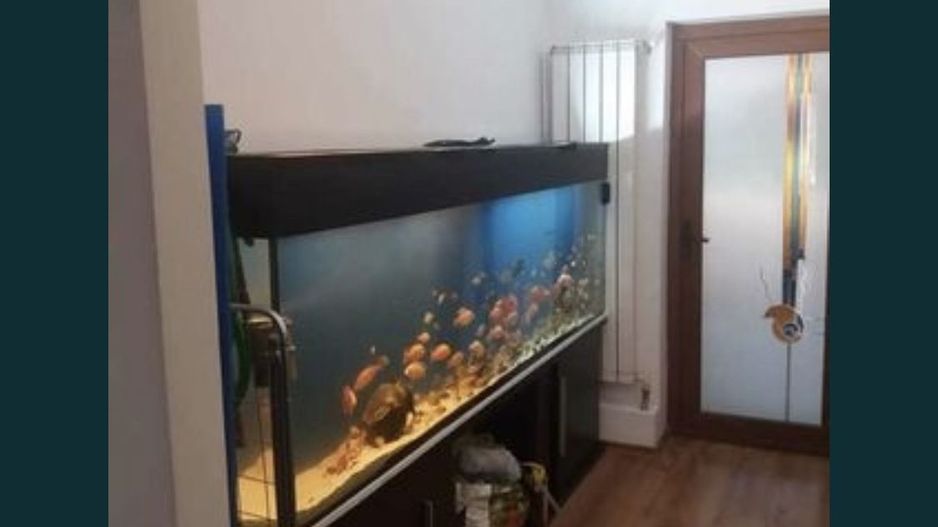 BRASADAS vinde ap 3 cam PARTER 75mp zona POARTA 6. - Poză 1