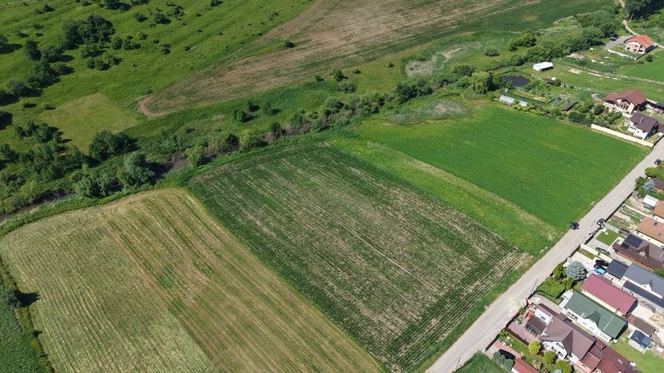 Teren intravilan 10.000 mp, Rotbav (Feldioara) - Poză 3