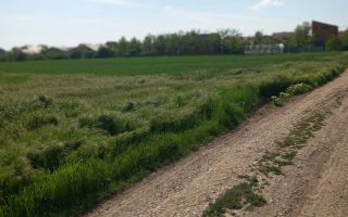 Teren de vanzare in sudul capitalei Berceni/Vidra Ilfov-539mp - Poză 3