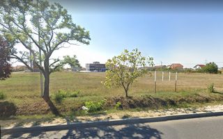 Sapient | Teren de 10.000 mp înspre Sânmartin - Poză 3