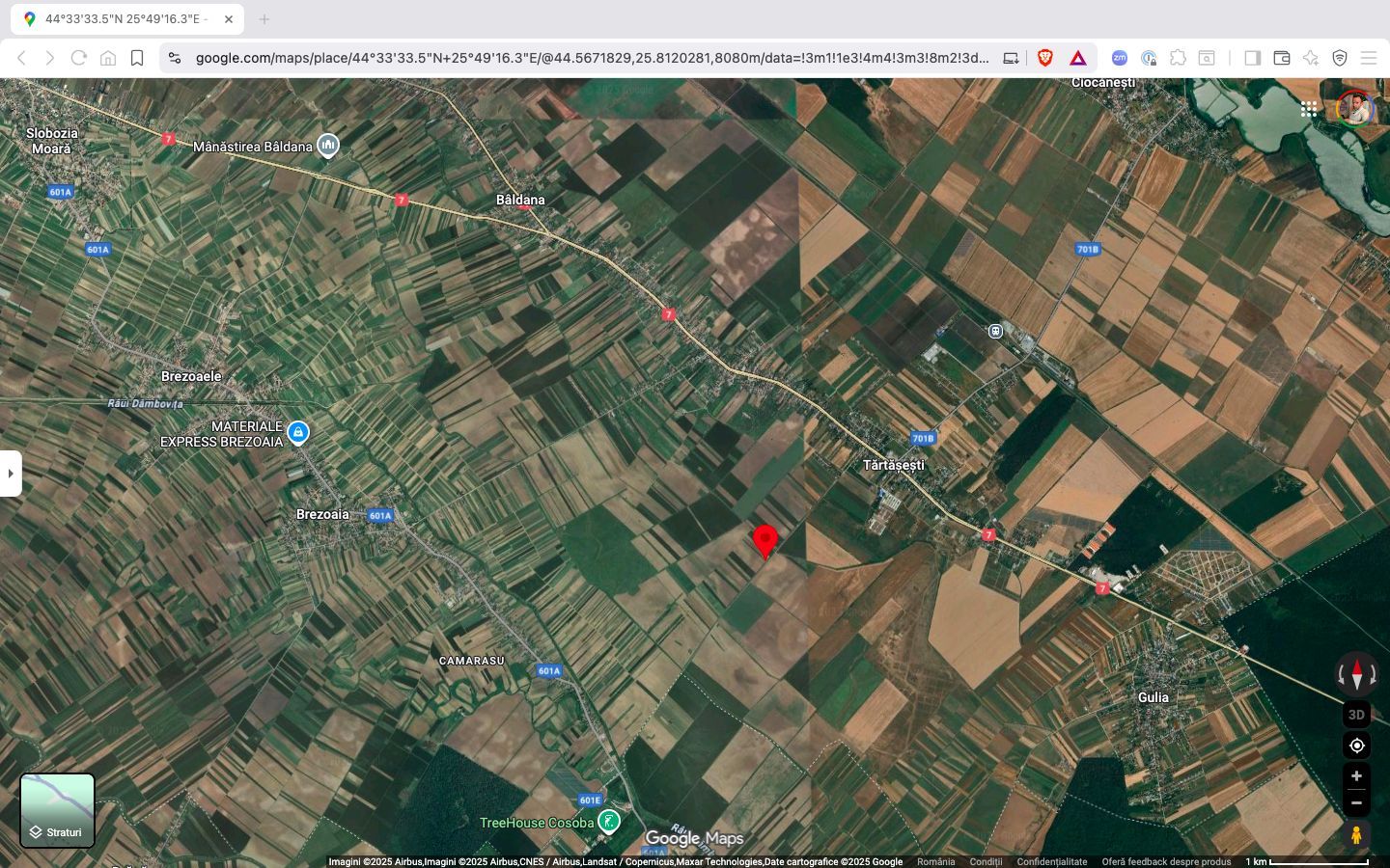 Teren extravilan 10.000 mp Tartasesti Dambovita - Poză 4