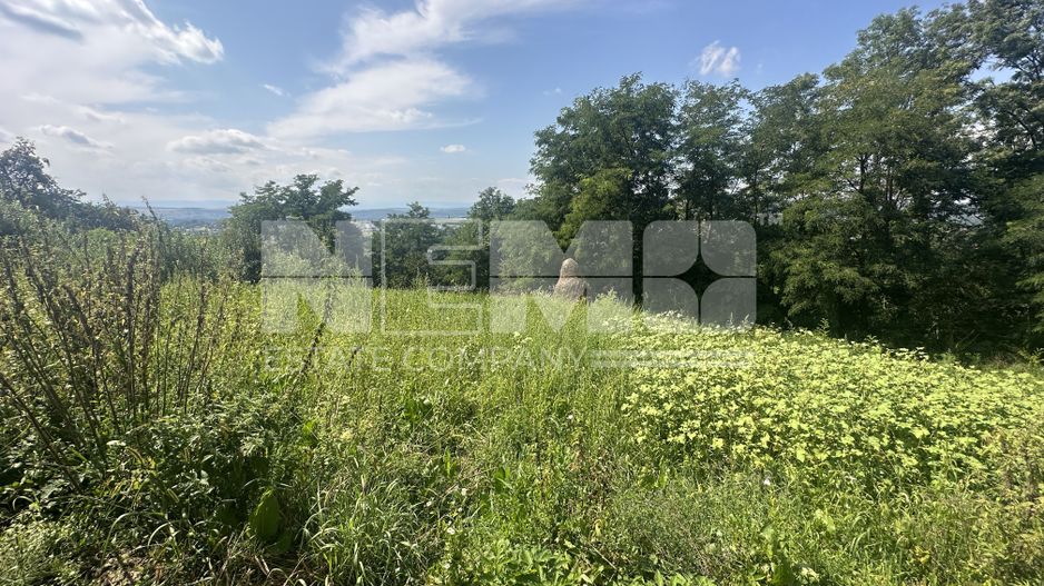 Teren Darmanesti | 41 Ari | 26.500EURO - Poză 3