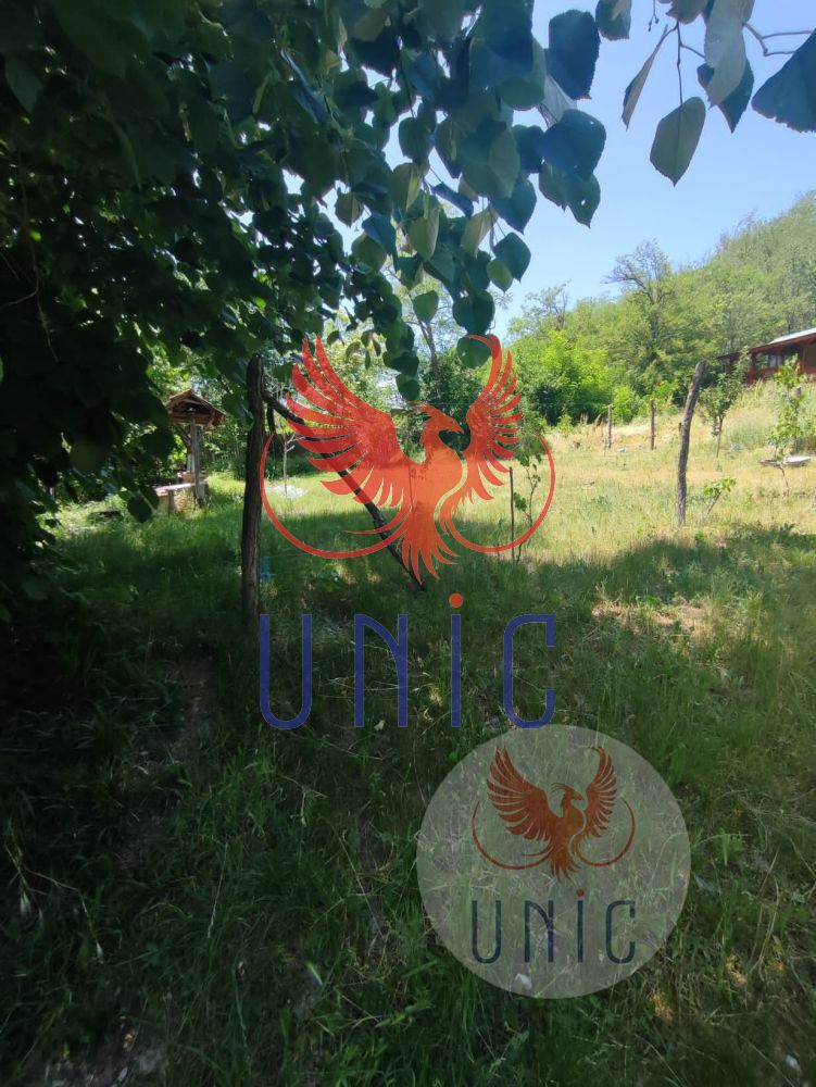 Teren intravilan Cernatesti - Poză 5