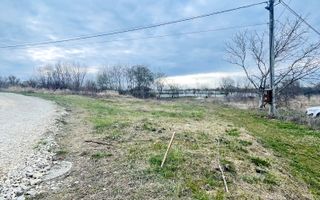 Teren Intravilan cu Front Dublu în Paleu - Poză 3