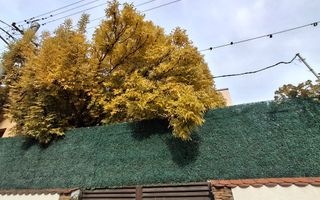 Spatii de inchiriat pentru birouri/activitati comerciale – Brancoveanu - Poză 3