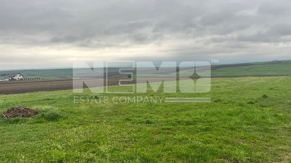 Teren De Vanzare I Moara, Suceava I Preț: 45.000 Euro - Poză 6