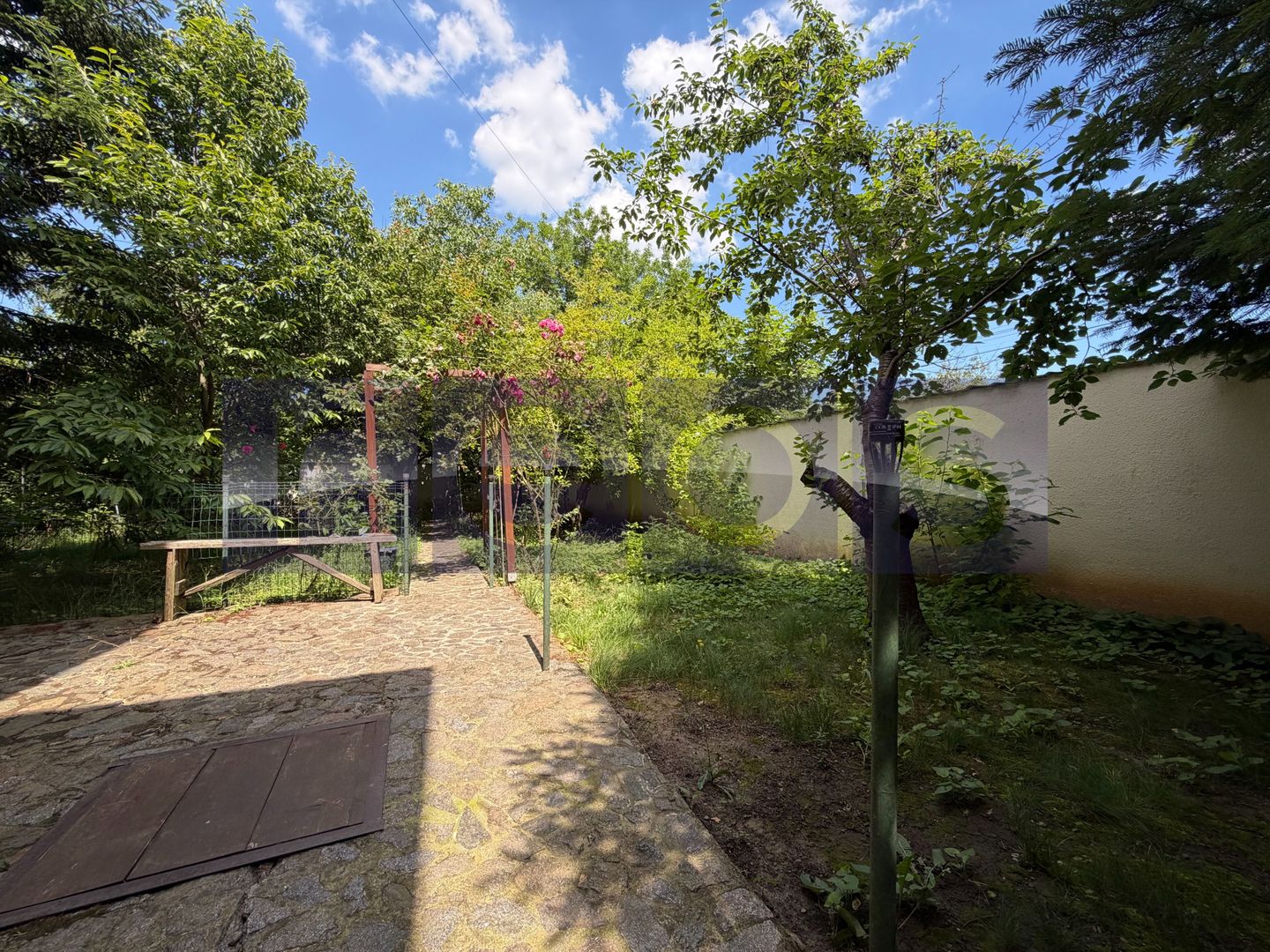 VANZARE VILA 280 MP UTILI | TEREN 900 MP | 5 CAMERE | VOLUNTARI - Poză 20