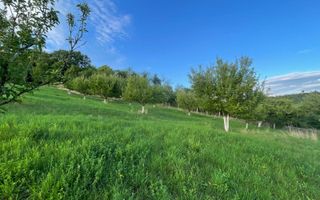 EXCLUSIVITATE! TEREN INTRAVILAN 29.2 ARI + 5.8 ARI TEREN EXTRAVILAN, DE VANZARE - Poză 4