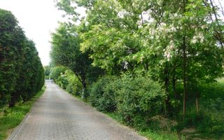 Vilă cu 1.350 mp teren în mijlocul orașului Grădina Botanică - Poză 21