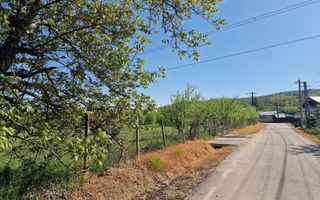 Teren Calinesti, Arges! - Poză 1
