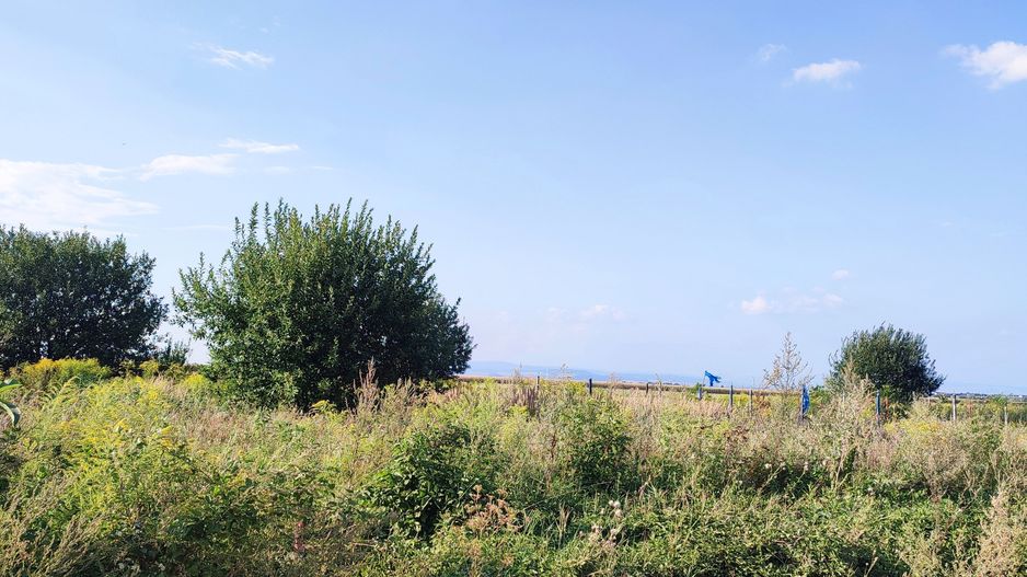 teren intravilan in Sacele-Baciu - Poză 2