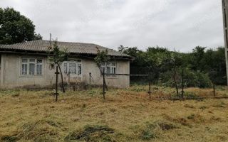 Terenuri de construcție în satul Mânzatesti, comuna Ungheni, Iași - 2 loturi de câte 2000 mp - Poză 1