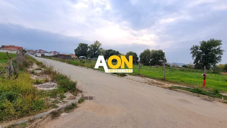 Oportunitate de investitie, posibilitate parcelare, 12.000 MP, Sebes - Poză 3