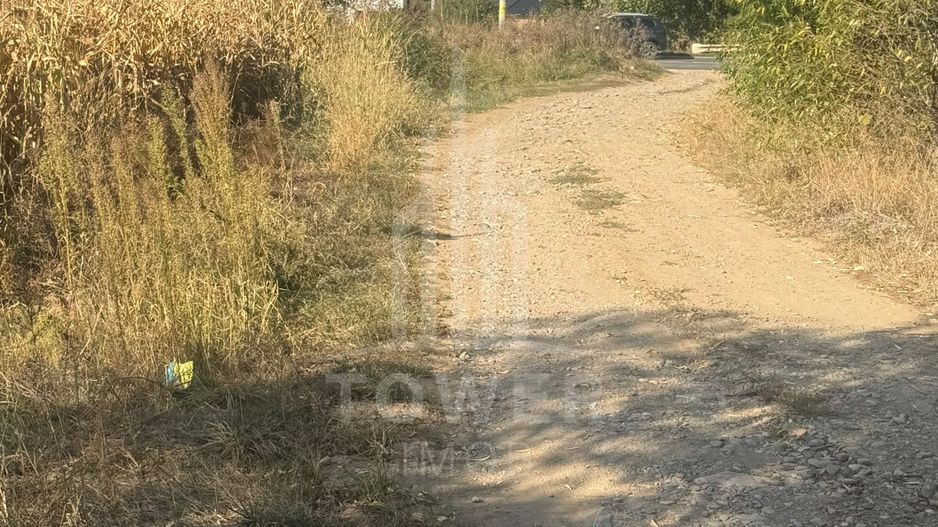 Teren 2500 de vanzare - Daia - Poză 3