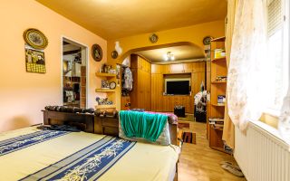 PROPRIETATE VÂNDUTĂ Casă conac cu 15.000 mp deal împădurit la Barațca, - Poză 5