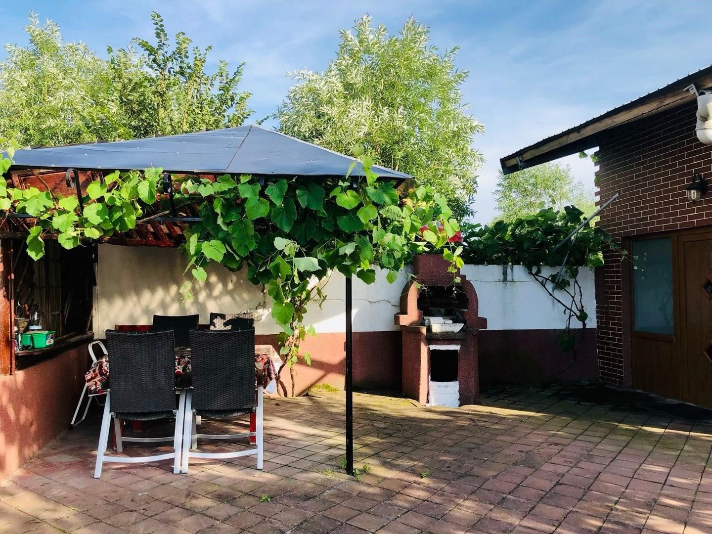 Vila Vulpesti Buzoesti - Poză 43