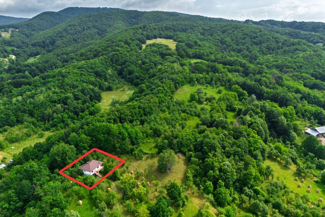Casa moderna si casa bunicii + 6300 mp teren,Oaza autentica in Corbi Arges- - Poză 23