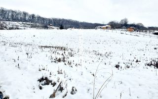 Teren intravilan 1.500 mp. Corunca Valea Iubirii 65 euro mp - Poză 6
