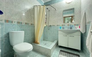 Chirie apartament, 1 cameră, str. Academician Sergiu Rădăuțan, Râșcani - Poză 9