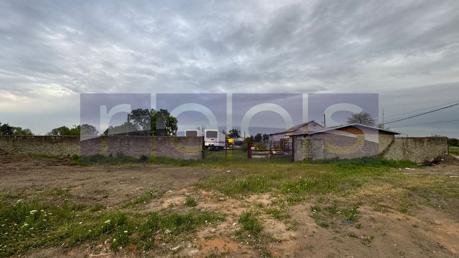 VANZARE TEREN 16.000 MP | 2 LOTURI | CONSTRUCTII EXISTENTE | ROSIORI DE VEDE - Poză 3