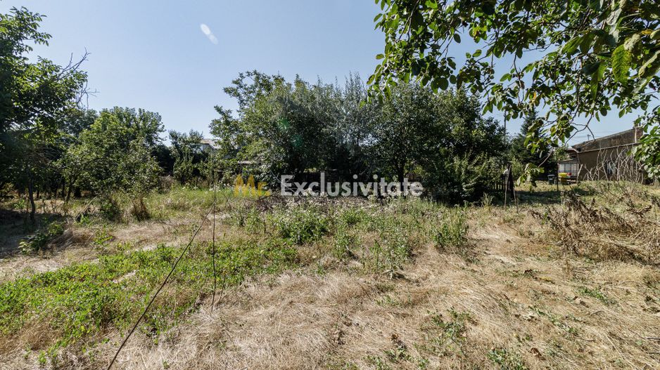 teren 3889 mp Domnesti Primarie - Poză 6