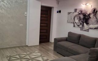 Apartament 2 camere 50mp in Valea Lupului - Poză 3