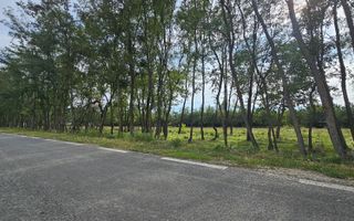 Teren intravilan construibil peisaj de vis - Poză 1