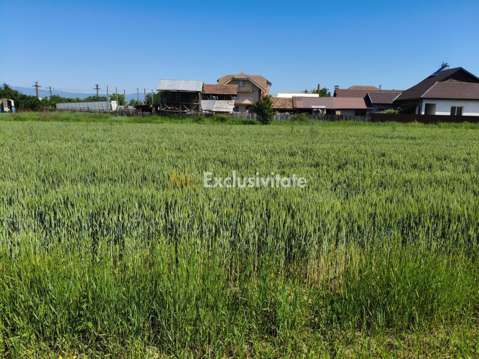 Teren 10.294 mp de vânzare Târgu Jiu | Intravilan + Extravilan | Utilități - Poză 5