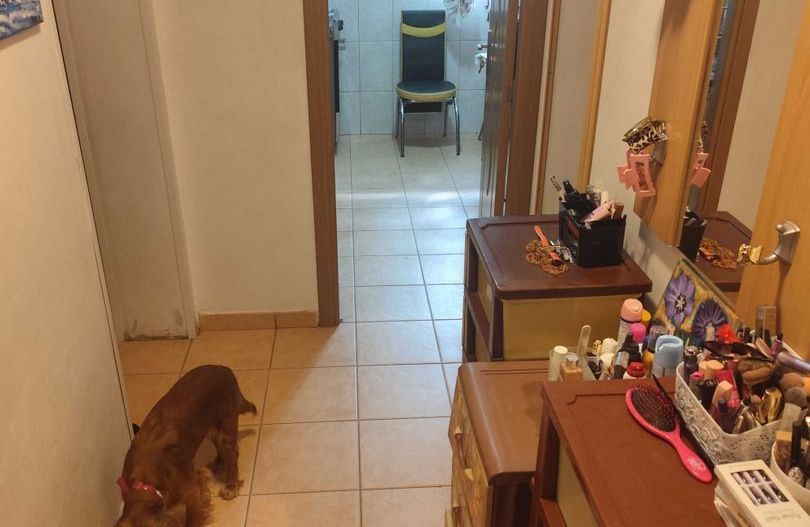 Apartament 3 camere zona Parc IOR - Camil Ressu - Poză 3