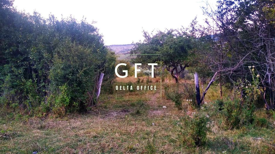 Teren 60 ari - oportunitate investitie - Satu Nou - Poză 2