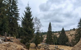 7.858 mp Teren Rar cu Pârâu și Izvoare, Beliș-Fântânele, Cluj - Poză 5