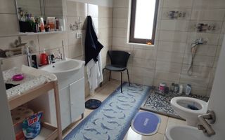 Sanandrei, Spurafete generoase, drum asflatat - Poză 8