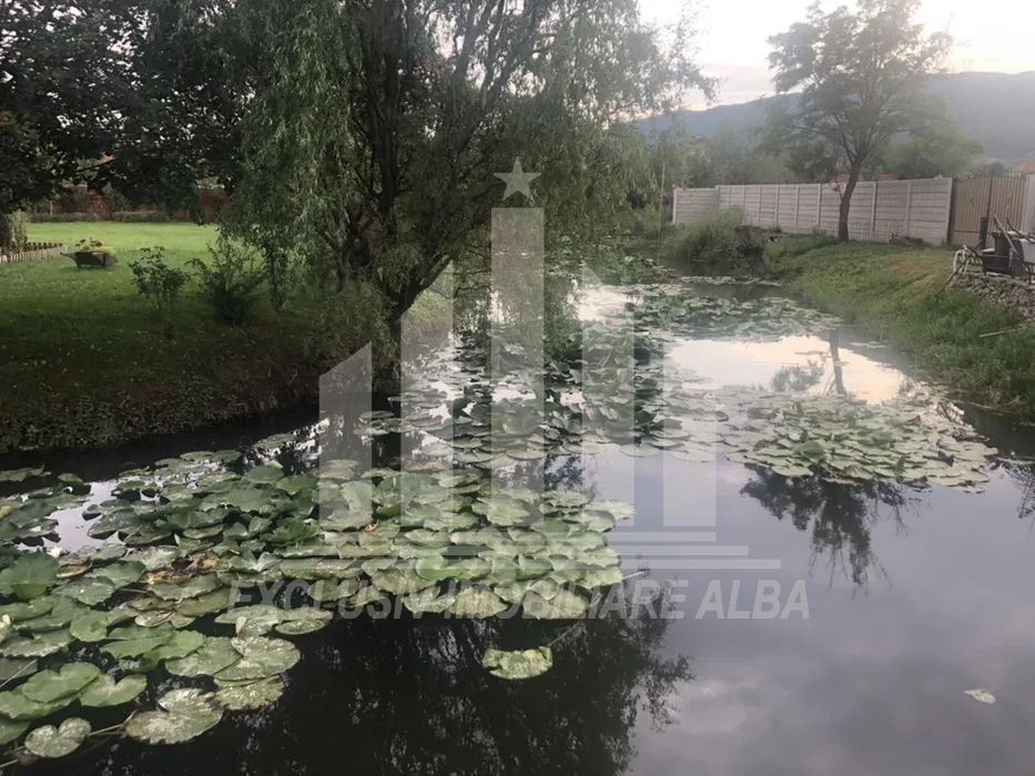 Casa individuala de vanzare, Micesti - Poză 4