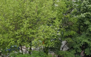 Titan, Rebreanu 5 min. metrou,parc, izolat termic - Poză 17