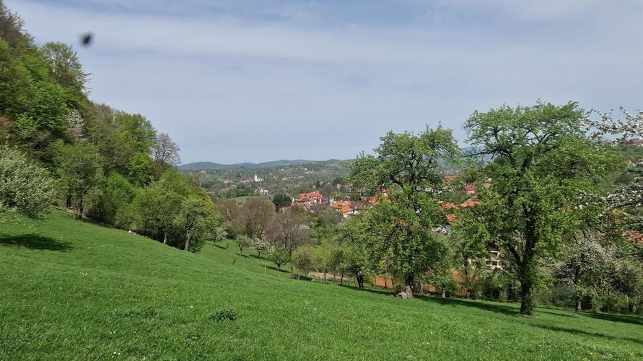 Langa emblematicul Castelul Bran, in areal colinar, 5.700mp intravilan - Poză 11