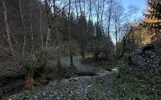 Teren 2.882 mp – oportunitate investitie - Cheile Dâmbovicioarei - Poză 11