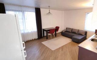 Apartament cu 2 camere, 42 mp, PetFriendly, zona strazii Mircea Eliade - Poză 3