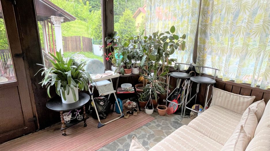Proprietate in incantarea naturii, oportunitate investitie/rezidential, Predeal - Poză 25