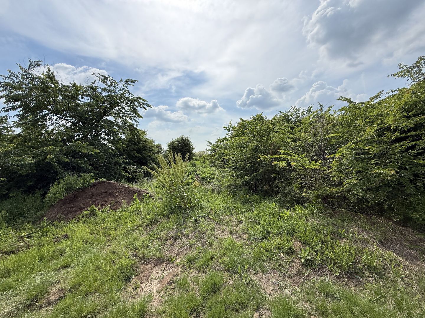 Teren intravilan 498,02 mp langa pădure , strada privata Corbeanca - Poză 11