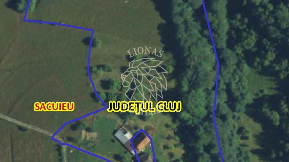 COMISION 0 20.000 MP TEREN EXTRAVILAN CU PADURE ZONA TURISTICA VISAGU VLADEASA - Poză 5