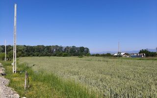 Teren 10.294 mp de vânzare Târgu Jiu | Intravilan + Extravilan | Utilități - Poză 3