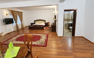 Oportunitate de investiție – pensiune turistică în Valea Lupului, Iași - Poză 3