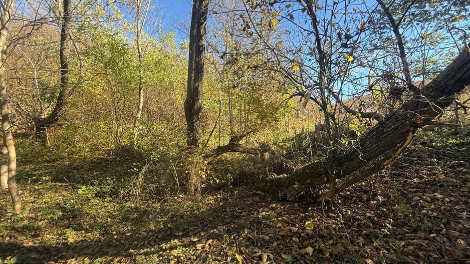 Teren langa pădure 6400mp+casa demolabila-deschidere 35 ml - Poză 12