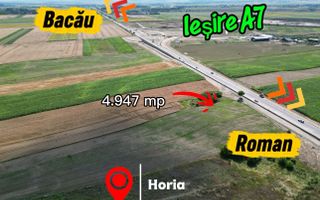 Teren 5.000 mp, E85, Roman - Poză 1
