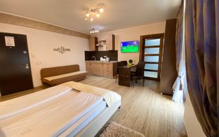 Studio de închiriat-Zona Centrala - Poză 3