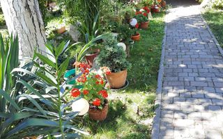 Calea Șagului | 3 Camere | 2 bai | Teren în proprietate 190 mp | Curte amenajat - Poză 1