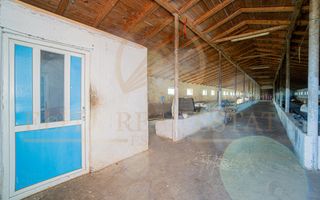 Tariverde - Ferma zootehnica functionala, 3 hectare teren intravilan! - Poză 17